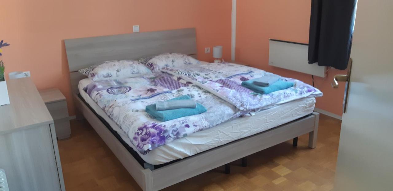 Terme Catez - Sonce Villa Catez ob Savi Kültér fotó