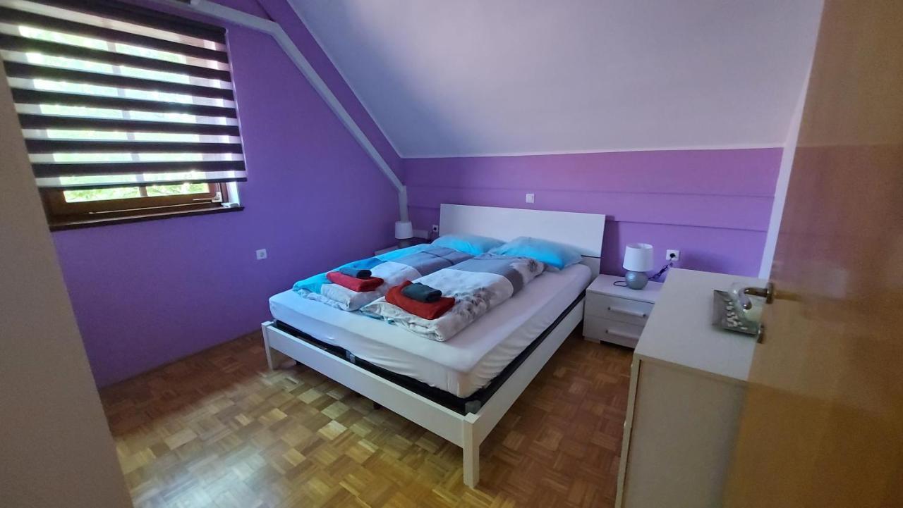 Terme Catez - Sonce Villa Catez ob Savi Kültér fotó